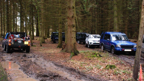 A group of 4x4's going through the woods